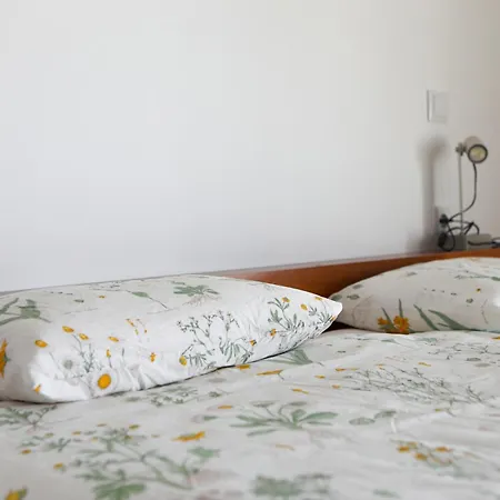 Casa Do Limoeiro Apartman